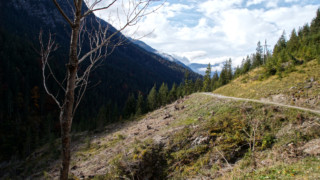Die Sonnenstrahlen brechen durch Die Sonnenstrahlen brechen durch